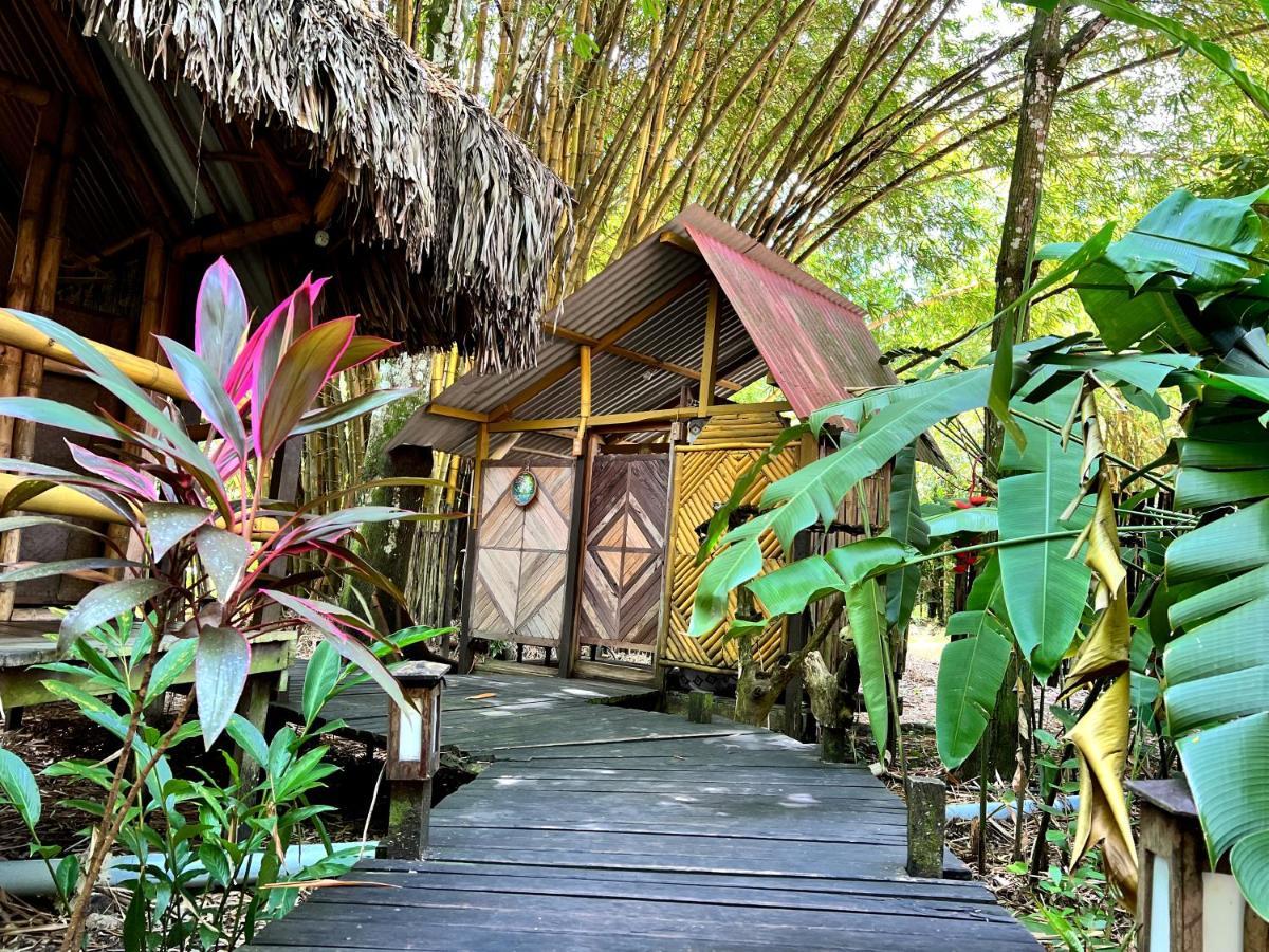 Cabanas Bambutan Palenque Exteriör bild
