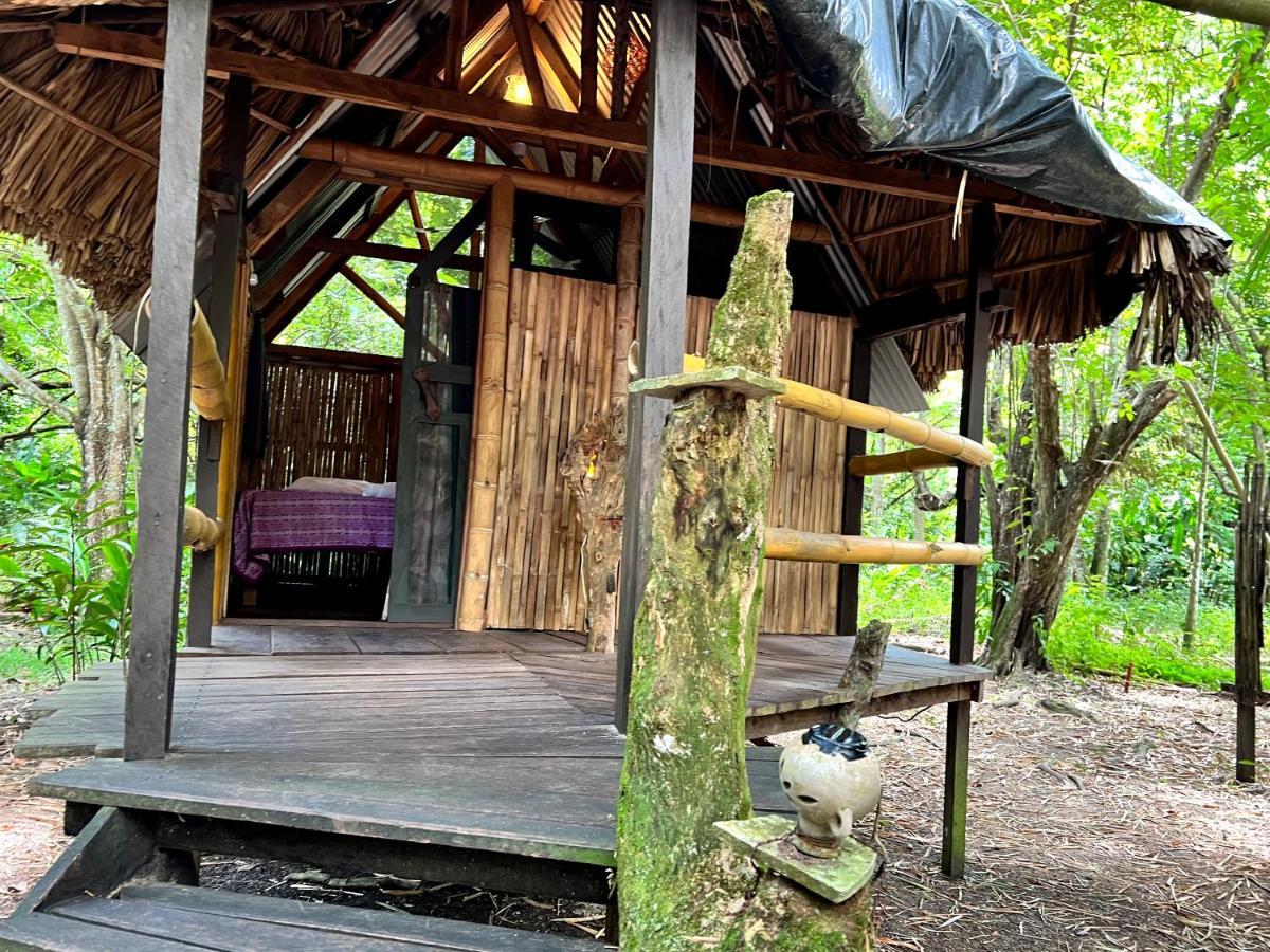 Cabanas Bambutan Palenque Exteriör bild