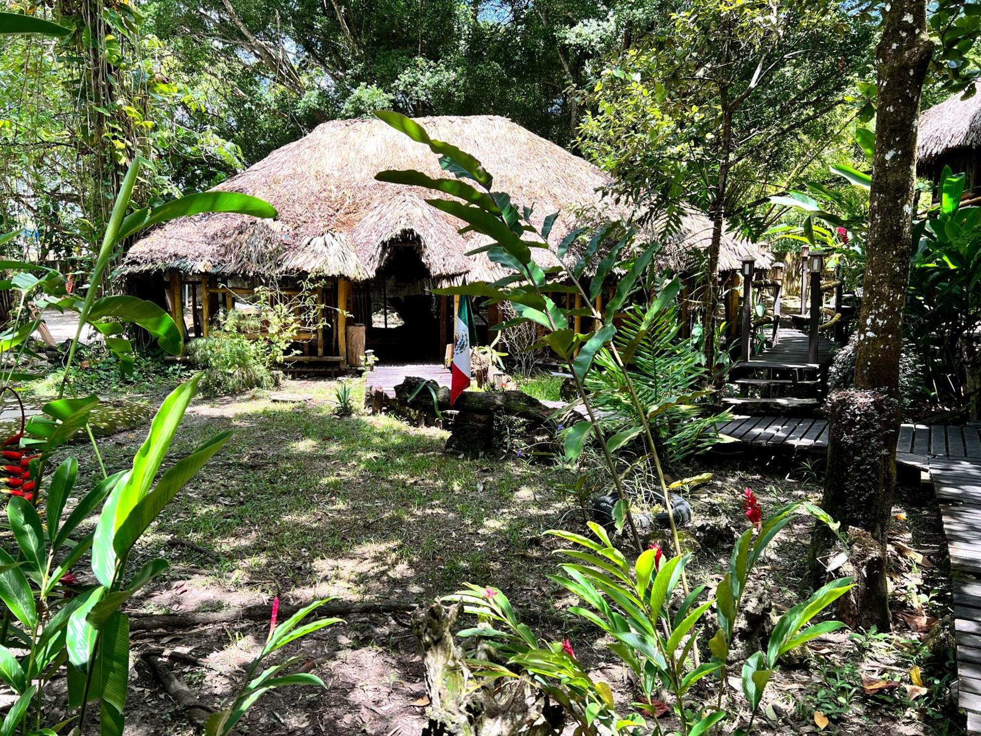 Cabanas Bambutan Palenque Rum bild