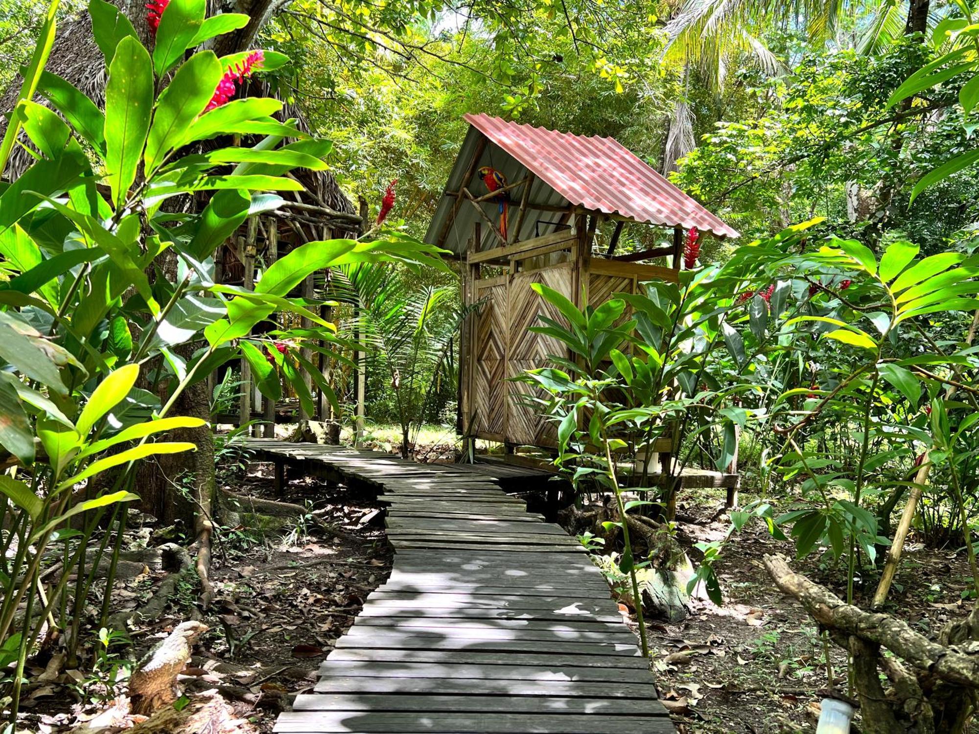 Cabanas Bambutan Palenque Rum bild